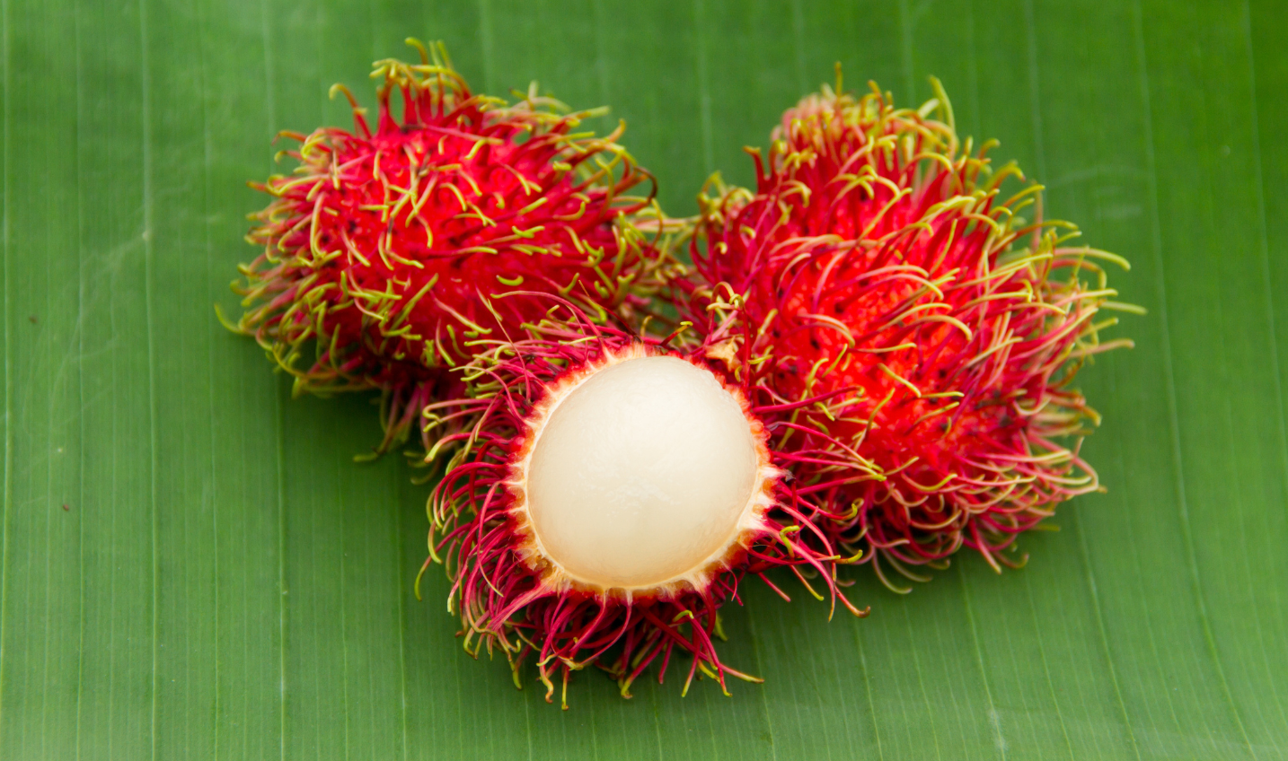 Health Benefits of Rambutan Fruit