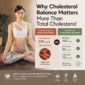 why cholesterol balance matters more than total cholesterol